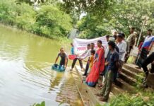 মানিকছড়িতে ৫৭টি জলাশয়ে পোনা অবমুক্ত