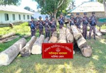 বাঘাইছড়িতে বিজিবি’র অভিযানে অবৈধ গোল কাঠ জব্দ